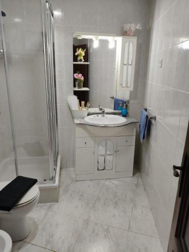 a bathroom with a sink and a shower and a toilet at Blue House in Ucanha