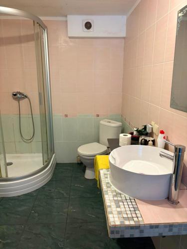 a bathroom with a sink and a toilet and a shower at Saules nams in Rucava