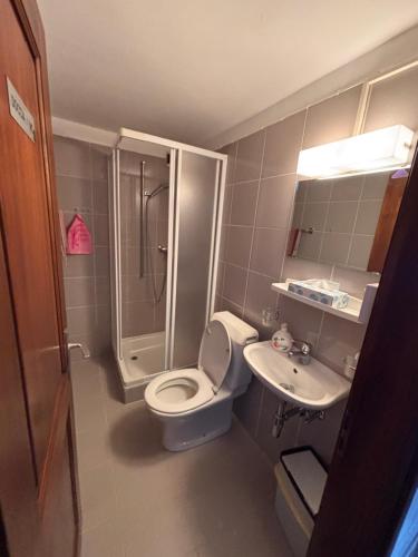 a small bathroom with a toilet and a sink at Ritrovo Neggia in Vira