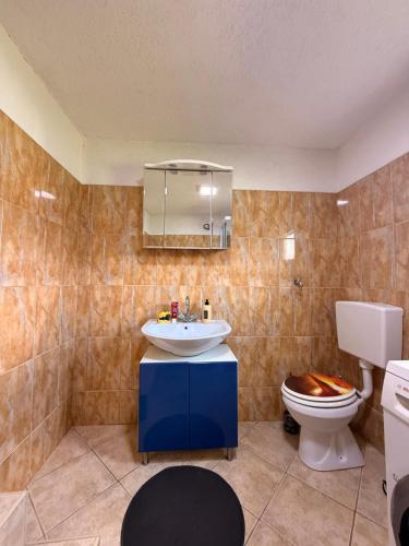 a bathroom with a sink and a toilet at Villa Indigo in Berovo