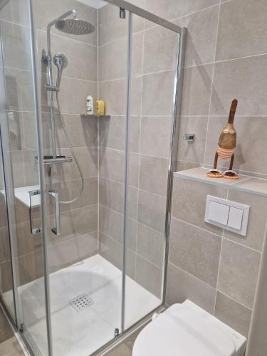 a bathroom with a shower with a toilet and a bottle at Pin Bleu in Moliets-et-Maa