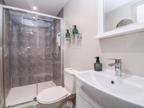 a bathroom with a shower and a toilet and a sink at Little Herriotts in Bristol