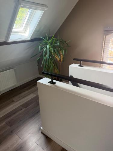 a room with a plant sitting on top of a counter at Het Atelier Schuring - Luxe vakantiehuis 78m2 in Numansdorp