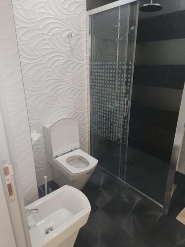 a bathroom with a toilet and a shower and a sink at Huge oceanfront apartment in Tétouan