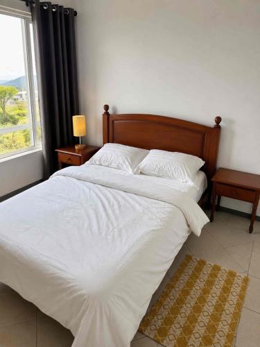 ein Schlafzimmer mit einem großen weißen Bett und einem Fenster in der Unterkunft Diamond View in Quatre Bornes
