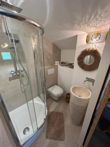 a bathroom with a shower and a toilet and a sink at Les CHAMBRES des EAUX in Sarcey