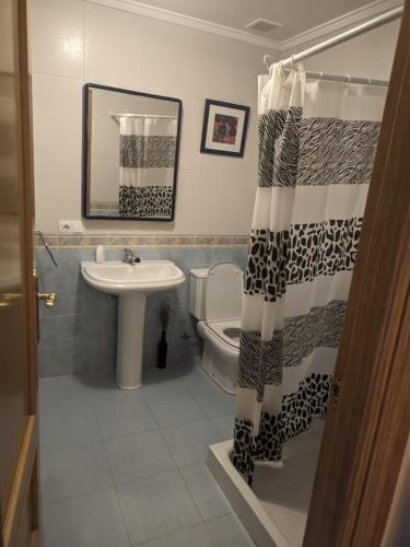 a bathroom with a sink and a toilet and a shower curtain at Apartamento cerca de Haro in San Vicente de la Sonsierra