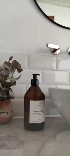 a bottle of soap sitting next to a sink at Alebrijescalamuchita in Villa Ciudad Parque