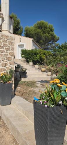 a group of pots of flowers on the steps of a building at Maison rénovée avec terasse et jardin privé, aéroport et Aix-en-Provence à 15 minutes in Velaux