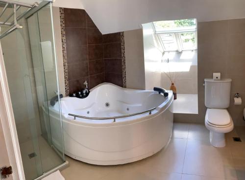 a bathroom with a large tub and a toilet at Petit Chateau Hotel Boutique in Punta del Este