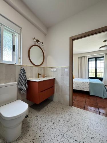 a bathroom with a toilet a sink and a mirror at Cortijo Cenascuras in Priego de Córdoba