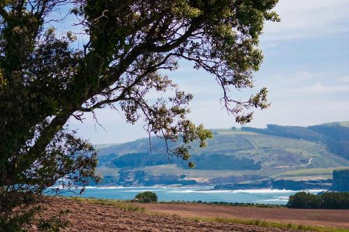 a view of a river from a tree at La Posada de Langre in Langre