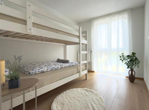 a bedroom with a bunk bed and a table at Basel Haven in Münchenstein