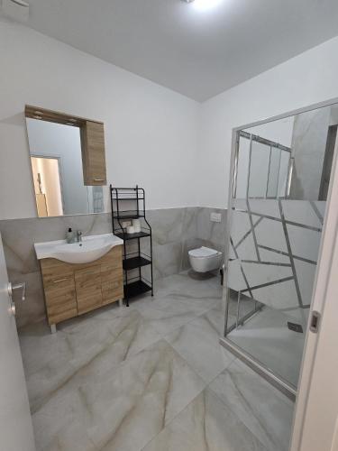 a bathroom with a sink and a mirror and a toilet at Appartamento Saffi in Faenza