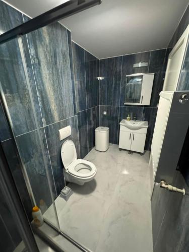 a bathroom with a toilet and a sink at Beside Gardens in Otopeni