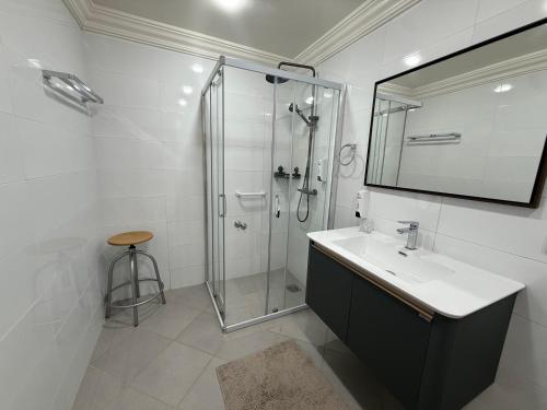 a bathroom with a shower and a sink and a mirror at Les Plamiers d'anis in Ouarzazate