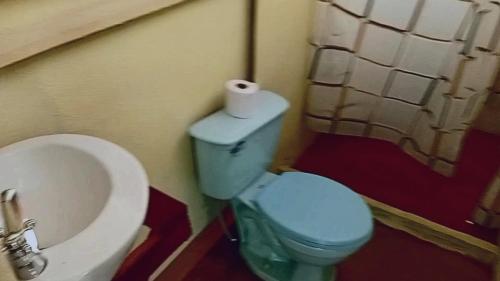 a bathroom with a blue toilet and a sink at The Forest Cabin in Parrita