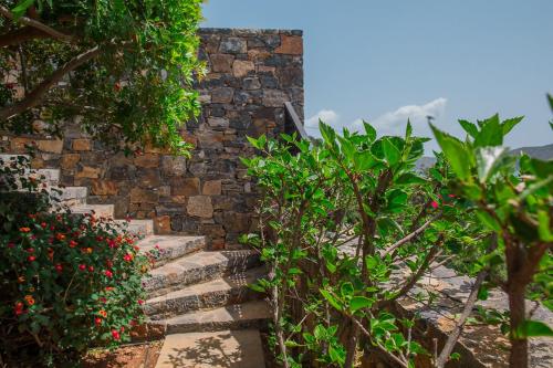 Φωτογραφία από το άλμπουμ του Villa Andrea στην Ελούντα