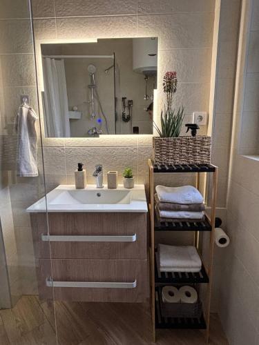 a bathroom with a sink and a mirror at Cozy 5 in Belgrade