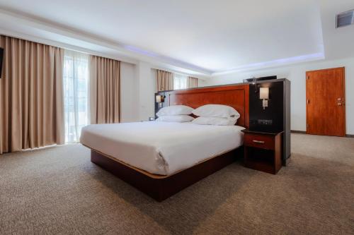 Ένα ή περισσότερα κρεβάτια σε δωμάτιο στο Sheraton Leon