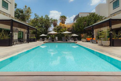 Πισίνα στο ή κοντά στο Sheraton Leon