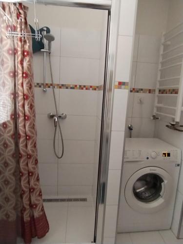 a bathroom with a washing machine and a shower at Apartmán Sofie in Poděbrady