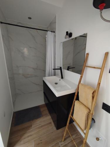 a bathroom with a sink and a mirror at Trévoux centre appartement climatisé in Trévoux