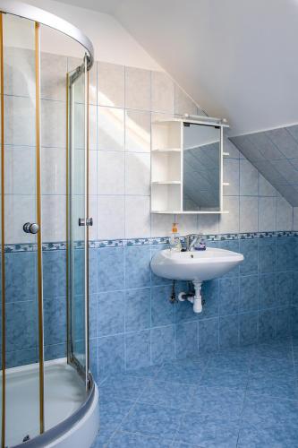 a bathroom with a sink and a shower at Wellez Vendégház in Sajóvelezd