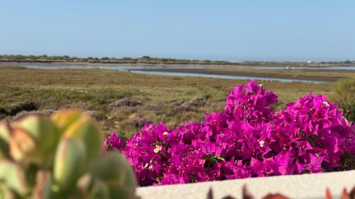 Villa Junco - Ria Formosa Waterfront