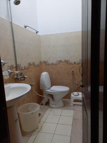 a bathroom with a toilet and a sink at Asghar Ali Resort in Lower Topa
