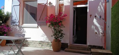 a building with a potted plant next to a door at Le chat bleu in Beauvoir-sur-Mer