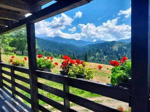 a view from a porch with flowers on a fence at Domeniul Barabuc Colibita in Colibiţa