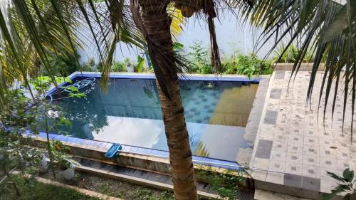 a swimming pool next to a palm tree at Pedlar Bungalow in Talpe