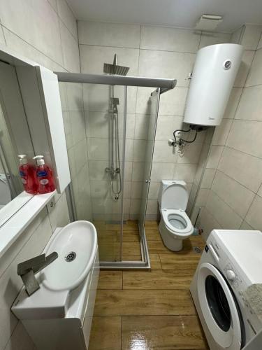 a bathroom with a shower and a sink and a toilet at Bazaleti Lake Family Apartment in Chanadirtkari