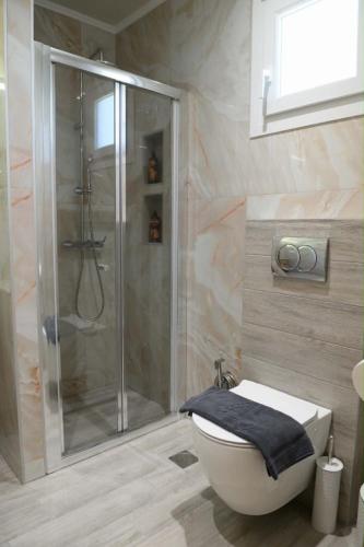 a bathroom with a shower and a toilet in it at Pella Luxury Archonta in Pélla