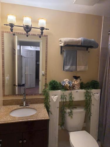 a bathroom with a sink and a toilet and a mirror at Wasaga Dunes in Wasaga Beach