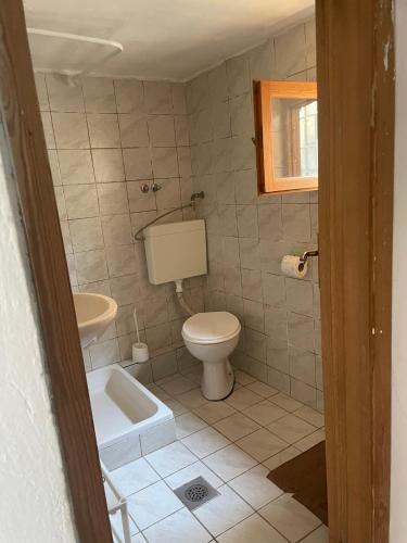 a bathroom with a toilet and a sink at Robinzonska kuća uz more in Tkon