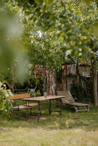a picnic table and a bench under a tree at Bauwagen Fridolin in Restorf