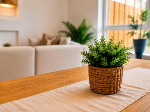a plant sitting on a table in a living room at Schongau Suites Premium Apartments XL in Schongau