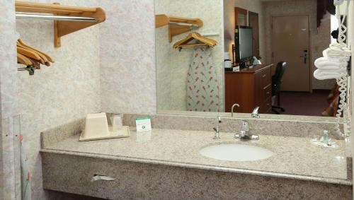 a bathroom counter with a sink and a mirror at Magnuson Hotel Howell/Brighton in Howell