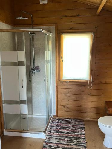 a bathroom with a shower and a toilet and a window at Quinta Vale Formoso in Venda da Costa