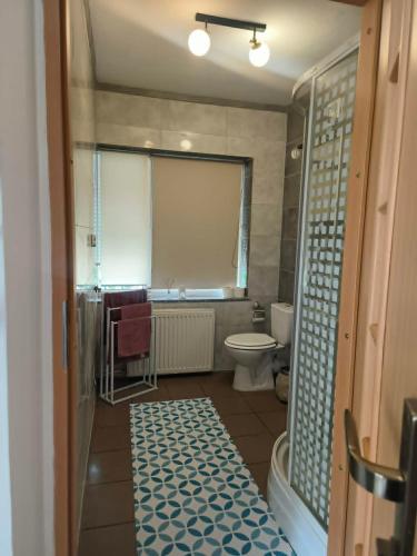 a small bathroom with a toilet and a window at Apartament przy weneckim mostku in Kowary