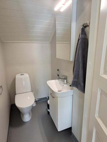 a small bathroom with a toilet and a sink at Villa Catharina in Kristinestad