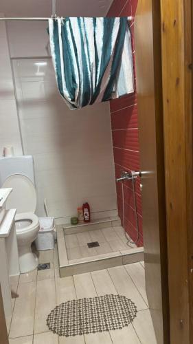 a bathroom with a shower and a toilet with a shower curtain at Olimpik bic in Paralia Katerinis