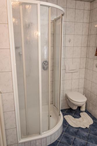 a bathroom with a shower and a toilet at Ferienwohnung Aschenwald in Ramsau im Zillertal