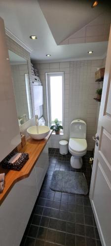 a bathroom with a sink and a toilet in it at The Red Mini Cottage in Huddinge