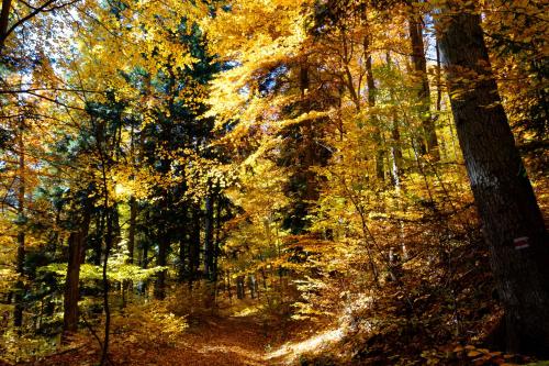 Kúpele Štós – Photos 5
