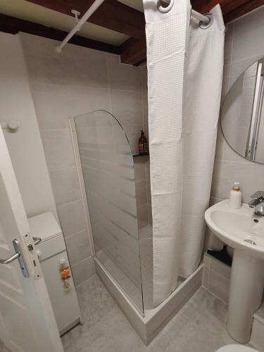 a bathroom with a shower and a sink at Gîte - La Gariotte du Causse in Frayssinet