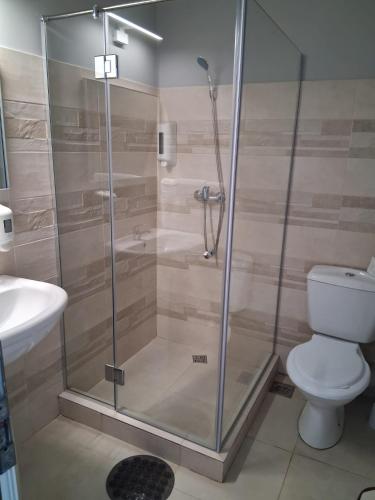 a bathroom with a shower with a toilet and a sink at ADMAR Rooms & Restaurant in Costinesti