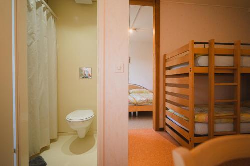 a bathroom with a toilet and a bunk bed at La Caquerelle in Col des Rangiers